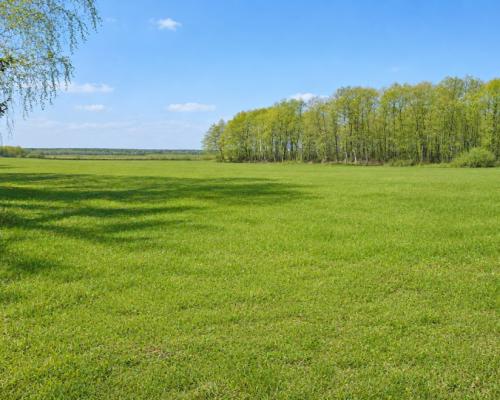 Działka rolno-budowlana 2,5 ha. Nowosiółki