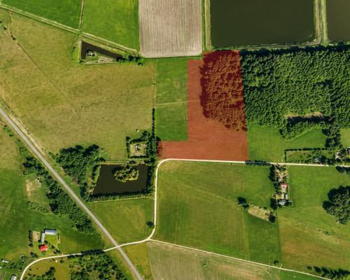 Działka rolno-budowlana 2,5 ha. Nowosiółki