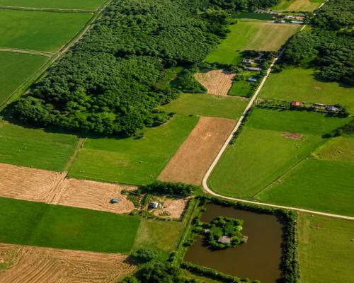 Działka rolno-budowlana 2,5 ha. Nowosiółki
