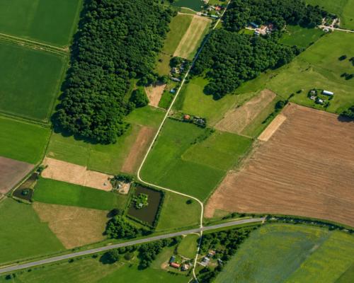 Działka rolno-budowlana 2,5 ha. Nowosiółki