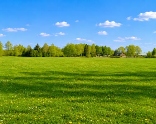 Działka rolno-budowlana 2,5 ha. Nowosiółki