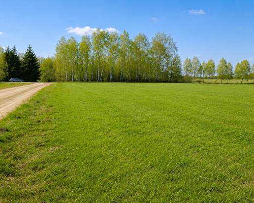 Działka rolno-budowlana 2,5 ha. Nowosiółki