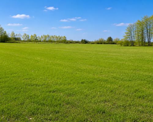 Działka rolno-budowlana 2,5 ha. Nowosiółki