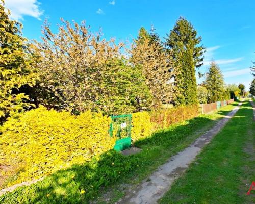 DZIAŁKA ROD NA SPRZEDAŻ WIOSENKA RYBNICA