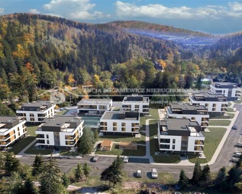 Apartamenty Wisełka i SPA