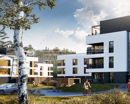 Apartamenty Wisełka i SPA