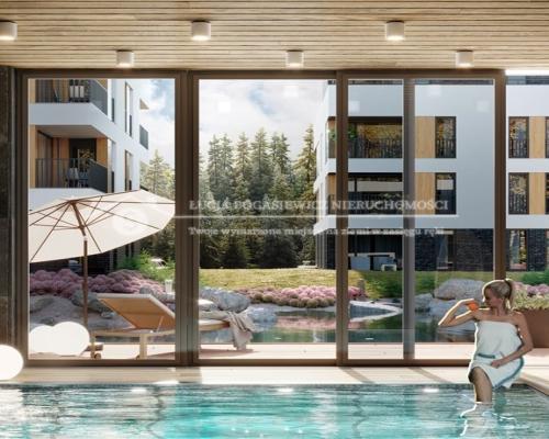 Apartamenty Wisełka i SPA