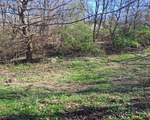 Do sprzedania  grunt w Bielsku-Białej  składający się z dwóch działek o łącznej powierzchni 51 arów.  Działki p