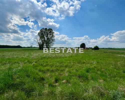 Działka rolna nad Wartą - Kuczki, blisko Uniejowa