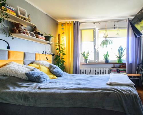 50,9M2/ 2 POKOJE/ BALKON/ 4 PIĘTRO/