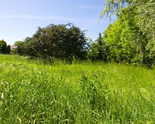 Mieszkanie z dużym ogrodem i garażem