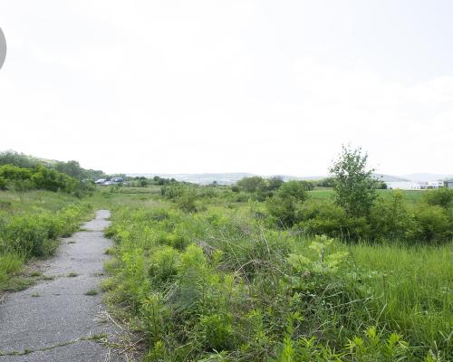 Działka 60 arów