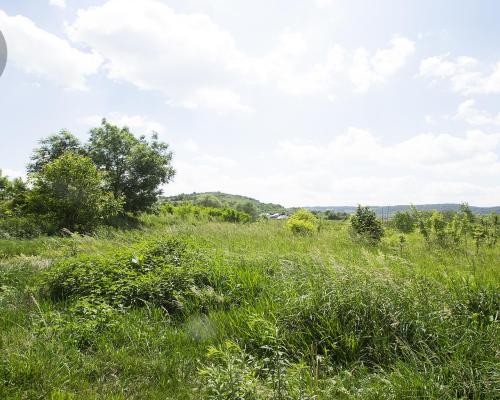 Działka 60 arów