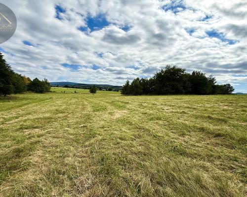 Działka 4090 m² z warunkami zabudowy – Boreczna