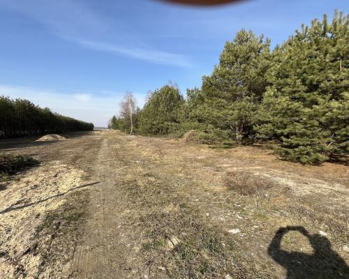 Działka z WZ w Wólce Gonciarskiej gm. Kazanów.