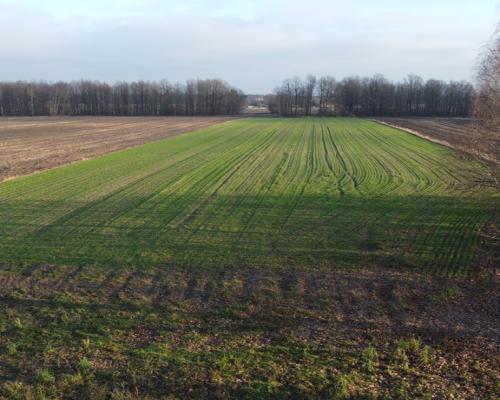 Działka (1182 m2) z WZ w Jabłonowie gm. Policzna.
