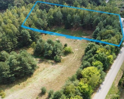 Działka 3117 m2 pośród drzew w Kowali gm. Puławy.