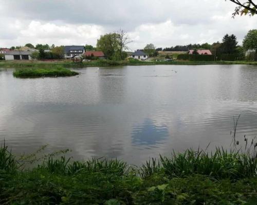 Działka o pow. 4,6 ha w Klementowicach gm. Kurów.
