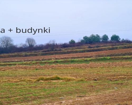 Obiekt produkcyjny z dużą ilością ziemi-gm.Wysokie