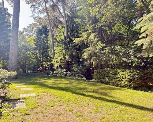 Do wynajęcia dom wolnostojący na Głębokim