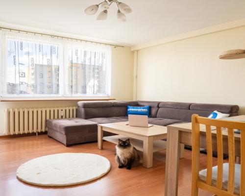 Częstochowa, ul. Bacewicz | Mieszkanie