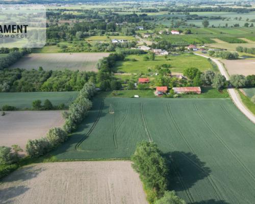 Dom na dużej działce 2,2ha - inwestycja.