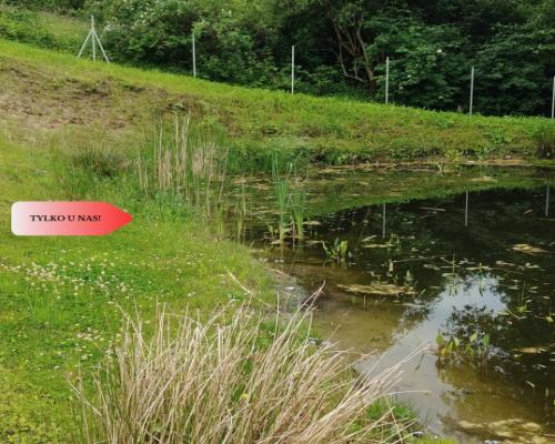 OBNIŻKA !!!Dom nad rzeką dz. 2924 m²  Natura 2000
