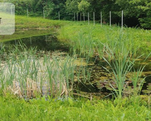 OBNIŻKA !!!Dom nad rzeką dz. 2924 m²  Natura 2000