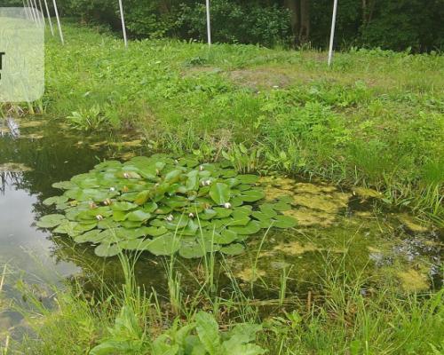 OBNIŻKA !!!Dom nad rzeką dz. 2924 m²  Natura 2000