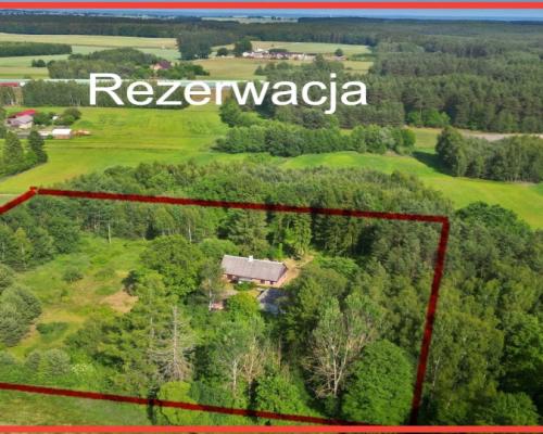 Magiczne siedlisko otulone lasem Borów Tucholskich