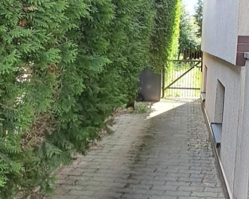 TYLKO U NAS! Dom 120 m² z tarasem-Spokojne osiedle