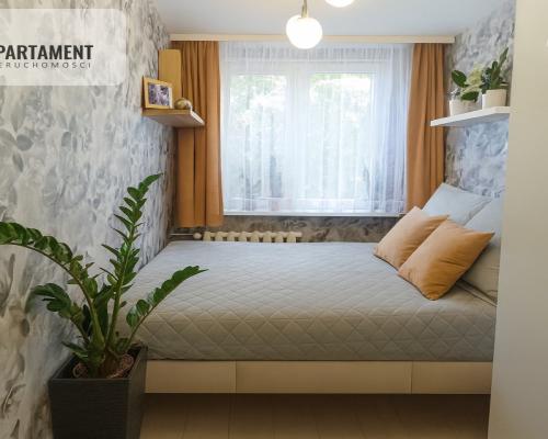3-pokojowe mieszkanie, balkon, piwnica, Iława