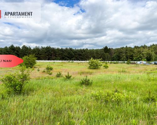 Tylko u nas! Działki 1006-1169m² WZ przy lesie