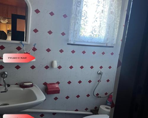 Ładna działka rekreacyjna w Drzewcach