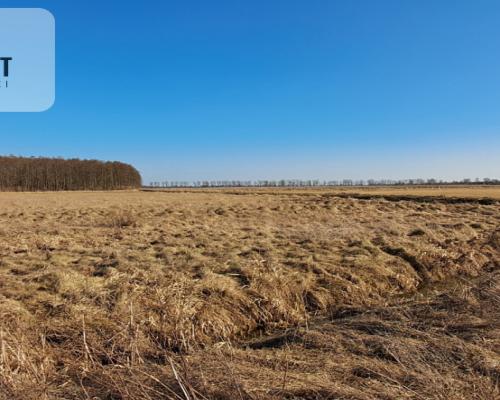 Działki budowlane - Kruszyn Krajeński