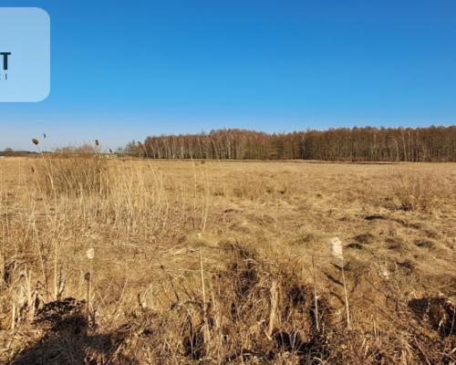 Działki budowlane - Kruszyn Krajeński