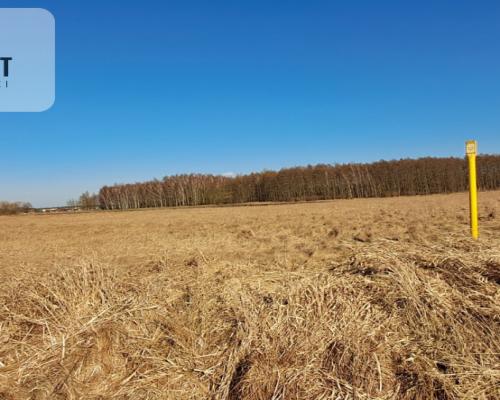 Działki budowlane - Kruszyn Krajeński