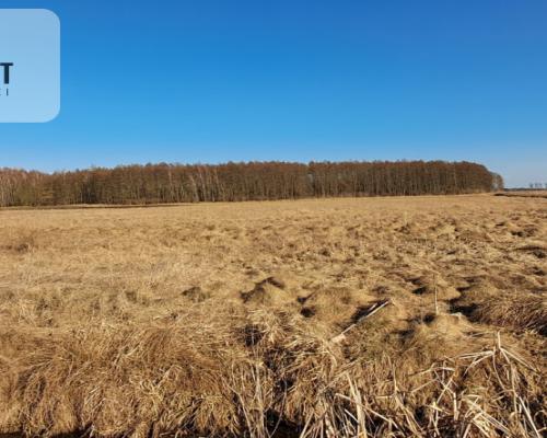 Działki budowlane - Kruszyn Krajeński