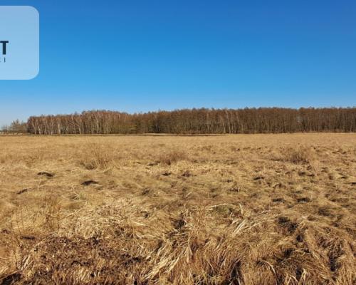 Działki budowlane - Kruszyn Krajeński