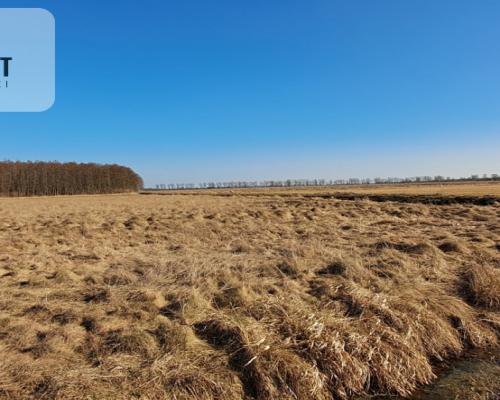 Działki budowlane - Kruszyn Krajeński