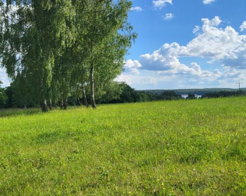 Piękne działki nad jeziorem Pile w Piławie