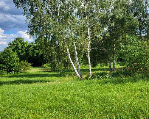 Piękne działki nad jeziorem Pile w Piławie
