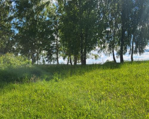 Piękne działki nad jeziorem Pile w Piławie