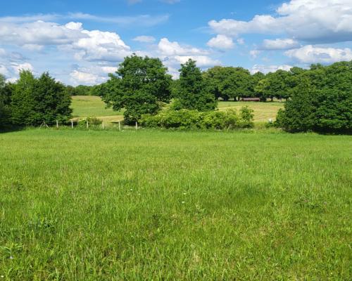 Piękne działki nad jeziorem Pile w Piławie