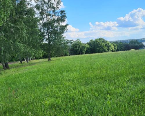 Piękne działki nad jeziorem Pile w Piławie