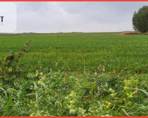 Działki budowlane - Wyrzysk Skarbowy