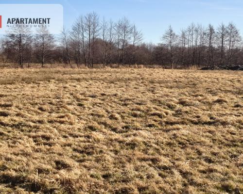 Działki z perspektywą na pełnych uroku terenach