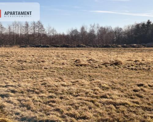 Działki z perspektywą na pełnych uroku terenach