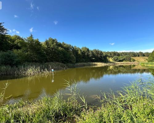 Unikalna działka 3,76 ha z własnym jeziorem!