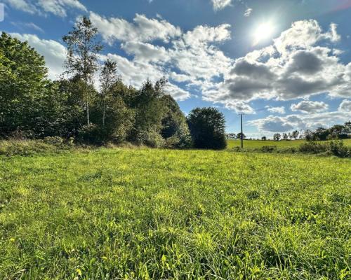 Unikalna działka 3,76 ha z własnym jeziorem!